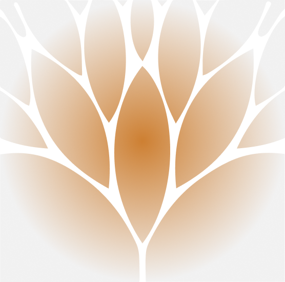 project Shape
